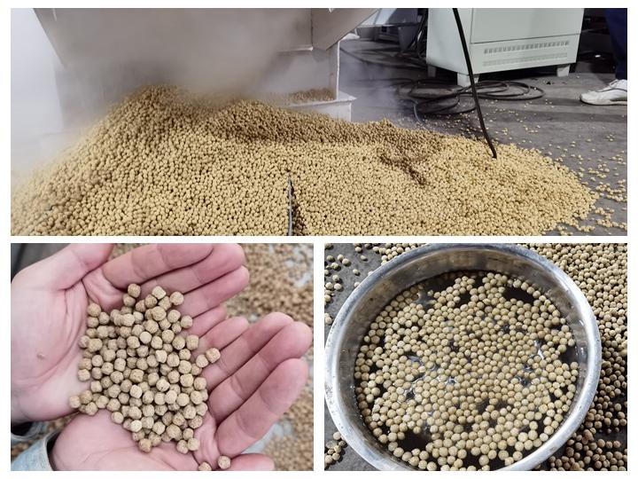 dry type cargill fish feed processing machine in Tanzania